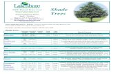 2020 Retail Price List Shade - Lakeshore Garden …...2020 Retail Price List One year guarantee on all prairie hardy shade trees Seasonal Business Hours April – October Highway 16