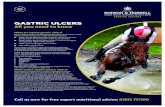 GASTRIC ULCERS All you need to know · with as many as 80-95% diagnosed as having gastric ulcers. Research has shown that up to 37% of leisure horses and 63% of performance horses
