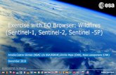 Exercise with EO Browser: Wildfires (Sentinel-1, Sentinel ...€¦ · ESA UNCLASSIFIED - For Official Use Slide 12 1- Wildfires Case Study in EO Browser In EO Browser, draw an AOI