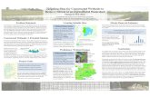 Targeting Sites for Constructed Wetlands to Remove Nitrate in an … · Problem Statement Constructed Wetlands: A Potential Solution Locating Suitable Sites Targeting Sites for Constructed
