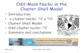 Odd-Mass Nuclei in the Cluster Shell Model€¦ · Adrian Horacio Santana Valdés M.Sc. Thesis, UNAM (2018) Cluster density Cluster potential INPC 2019 Roelof Bijker, ICN-UNAM 8.