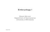 Embryology I - University of Minnesotamcloonlab.neuroscience.umn.edu/4100/Lectures/N4100 lecture 04.pdf · Embryology I Steven McLoon Department of Neuroscience University of Minnesota
