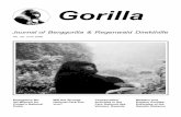 Gorilla · of Karisoke, Rwanda. Authors of this Issue Kanyunyi A. Basabose is working for the CRSN at Lwiro. Since 1994, he has been researching the ecology of gorillas and chimpanzees
