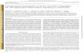 Compensatory Expression of Nur77 and Nurr1 Regulates NF-κB ...molpharm.aspetjournals.org/content/molpharm/94/4/1174.full.pdf · flammatory signaling in microglia (Chen et al., 2017),