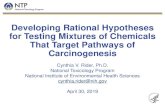 Developing Rational Hypotheses for Testing Mixtures of ... · target the Hallmarks/Key Characteristics and could ... cancer with genetic predisposition, lower dose of carcinogen required)