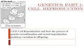 Genetics Part 1: Heredity · Genetics Part 1: Cell reproduction LS1I: Cell Reproduction and how the process of genetic recombination and sexual reproduction produces variation in