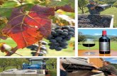 An inside view of the Virginia wine grape harvest, …ducardvineyards.com/wp-content/uploads/2019/05/EBR...He repeatedly climbs a step stool to dump buckets into the couch-size crusher-destemmer