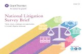 National Litigation Survey Brief · 2019. 3. 13. · II National Litigation Survey Brief > Introduction Introduction Over the last year, our Grant Thornton Forensics and Dispute Resolution