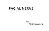 FACIAL NERVErehabmedo.com/Images/articles/242775524.pdf · Applied anatomy: Infra nuclear lesion of facial nerve is called Bell’sPalsy. 1. Complete lesion of facial nerve as it