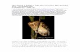 SRI LANKA: A FAMILY ‘BIRDING IN STYLE’ TRIP REPORT 16-30 by …birdwingnature.com/pdf/SriLanka_Dec_2009.pdf · Galle and Unawatuna; east to Tissa, Bundala and Yala; north into