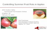 Controlling Summer Fruit Rots in Apples · softer (“sauce in a bag”) than black rot and may have irregular margins. • Rots developing in autumn may look just like black rot