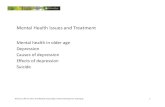 ch 11 mental health issues and treatmentweb.pdx.edu/~newsomj/adaclass/ch 11 mental health issues and tre… · Mental Health in Older Age Newsom, Winter 2017, Psy 462/562 Psychology