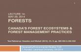 LECTURE 14: MAY 29, 2014 FORESTS - Lakehead University...LECTURE 14: MAY 29, 2014 FORESTS CANADA’S FOREST ECOSYSTEMS & FOREST MANAGEMENT PRACTICES Geography/Environmental Studies
