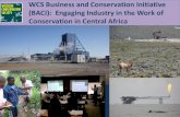 WCS Business and Conservation Initiative (BACI): …...Many companies now seek responsible strategies outside the regulatory framework\爀䤀䘀䌀 倀匀㘀 愀昀昀攀挀琀椀渀最