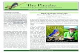 The Phoebe - Sierra Foothills Audubonsierrafoothillsaudubon.org/wp-content/uploads/2016/... · Bluebirds, Budding Birders, and Birdcounts Thursday, February 2, 2017 Burns Room, Placer
