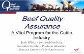 Beef Quality Assurance - USAHA · 2019. 4. 18. · October, 2014 Consumer Image Index, March 2015 Consumer Beef Index [VALUE] [VALUE] Concerned About Familiar with Antibiotic Use