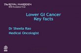 Lower GI Cancer Key facts... · 2019. 10. 23. · Lower GI Cancer Key facts Dr Sheela Rao Medical Oncologist . The Royal Marsden Distribution of Colorectal Cancer ... changes in their