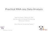 Practical RNA-seq Data Analysis - MITbarc.wi.mit.edu/education/hot_topics/RNAseq_Mar2016/RNAseq_Mar… · Practical RNA-seq Data Analysis BaRC Hot Topics – March 31, 2016 ... mammalian