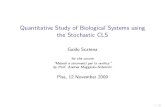 Quantitative Study of Biological Systems using the ...groups.di.unipi.it/~maggiolo/lucidi_MSV/msv2009-opt.pdf · Computational Systems Biology Biologists need to integrate the knowledge