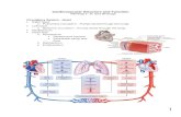 Dr. M's Classes Rock€¦ · Web viewParasympathetic nerves Adrenergic receptor function Beta-adrenergic receptors Norepinephrine or epinephrine Cardiac Performance Cardiac output
