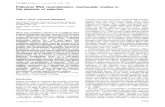 EMBO Poliovirus RNA recombination: mechanistic studies in ...web.stanford.edu/group/kirkegaard/pdf/Jarvis_EMBO_1992.pdf · The EMBO Journal vol.11 no.8 pp.3135-3145, 1992 Poliovirus