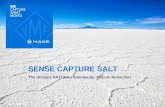 SENSE CAPTURE SALT · 2018. 5. 31. · For more information: emea.savoury@mane.com MANE 620 route de Grasse F-06620 Le Bar-sur-Loup +33 4 93 09 70 00 Crédit : istock, fotolia All