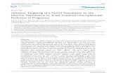 Selective Targeting of a Novel Vasodilator to the Uterine ... · Abnormal vascular anatomy [17] and impaired myometrial and chorionic plate vascular tone regulation are present in