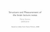 Structure and Measurement of the brain lecture notessereno/596/readings2/lecture5.pdf · Updating in the SC ¥ sometimes several targets appear brießy and then disappear , even in
