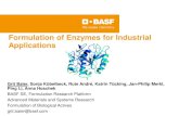 Formulation of Enzymes for Industrial Applications...Each formulation needs to be adapted to a new enzyme Biological actives require special knowledge - Specific analytical tests Formulation
