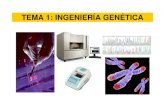 TEMA 1: INGENIERÍA GENÉTICAwpd.ugr.es/~rnavajas/wordpress/wp-content/uploads/... · DNA Fingerprinting o “Huella Genética ” ... AABBDD Duplicació n Natural. según la RAE