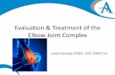 Evaluation & Treatment of the Elbow Joint Complex anatomy Friday... · C6 Elbow flexion First web space Brachioradialis C7 Elbow extension Dorsum of long finger Triceps C8 Thumb extension