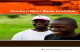 Zambezi River Basin Initiative - International Federation · 2010. 11. 23. · 5 Zambezi River Basin Initiative The Zambezi River Basin tremendous health, agricultural and economic