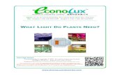 What Light Do Plants Need - EconoLux Industries Files/What Light Do Plants Need.pdf · What Light Do Plants Need? - Page What Light Do Plants Need? By Michael Roberts Abstract Agricultural