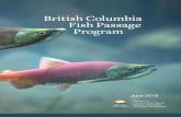 British Columbia Fish Passage Program2008-2017 Remediation Projects Summary 4 Location of 2015-2017 Fish Passage Remediation Projects 6 1. O’Cock River Tributary 8 2. Cypre River/Clayquot