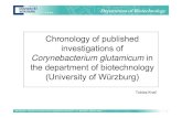 Corynebacterium glutamicum - tobias knaf · 2008. 2. 19. · Corynebacterium glutamicum in the department of biotechnology (University of Würzburg) Tobias Knaf. Department of Biotechnology