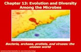 Chapter 13: Evolution and Diversity Among the Microbesmwalston.rsd17.org/uploads/5/7/5/2/57520997/bacteria_and... · 2018. 9. 26. · Lysogenic Cycle. Lytic vs. Lysogenic. How is