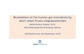 Modulation of the human gut microbiota by short chain ... · Modulation of the human gut microbiota by short chain Fructo-oligosaccharides Ashok Kumar Dubey, Ph.D. Tata Chemicals