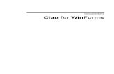 ComponentOne Olap for WinForms · Typical OLAP tools include "OLAP cubes" and pivot tables such as the ones provided by MicrosoftExcel. These tools take large sets of data and summarize