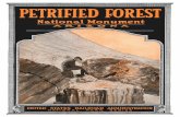 PETRIFIED FORESTnpshistory.com/publications/railroad/booklet-pefo.pdf · And these beautiful mosaics lie in the open air, scattered over thousands of acres, on the great Southwestern