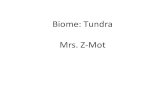 Biome: Tundra Mrs. Z-Mot Tundra â€¢ The tundra is a treeless, snow-covered landscape. The arc;c tundra