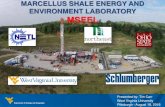 MARCELLUS SHALE ENERGY AND ENVIRONMENT LABORATORY … · Radiochemistry: Drill Cuttings Brazil nuts are about 12 pCi/g vertical Marcellus Act Unc MDC Act Unc MDC Act Unc MDC Act Unc