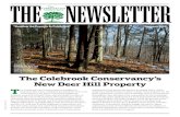 “Keeping the Country in Colebrook” Summer 2019€¦ · T he Colebrook Land Conservancy is delighted to announce that it has completed the purchase of 74 acres of forestland at