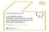 Livelihoods, basic services and social protection in South ... · 5.3 Research methods 31 5.4 Gaps in data, evidence and research 31 6 Conclusion 33 Annexes ... SPA Strategic Partnership