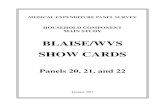 BLAISE/WVS SHOW CARDS · 2020. 3. 6. · Blaise/WVS Version, Spring 2017 . CARD PP-3 . TYPES OF HOME CARE SERVICES . Skilled Medical Care . Home care from a nurse, any type of therapist,