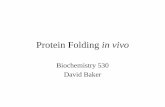 Protein Folding in vivo - University of Washingtoncourses.washington.edu/bioc530/2011_Lectures/Baker... · Biophys. 2009May;42(2):83-116. The chaperonin ring assembly GroEL provides