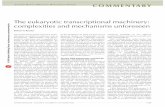 The eukaryotic transcriptional machinery: complexities and ... · eukaryotic transcription, and a major ques-tion was how similar they would be to those of prokaryotes. My interest