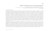 RNA Affinity Chromatography - IntechOpen RNA Affinity Chromatography Nehal Thakor 1 and Martin Holcik