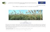 Pest Risk Analysis for Cortaderia jubata · The pest risk analysis for Cortaderia jubata has been performed under the LIFE funded project: LIFE15 PRE FR 001 Mitigating the threat
