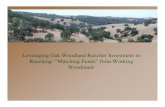Leveraging Oak Woodland Rancher Investment in Ranching ...nature.berkeley.edu/classes/espm-c11/Week X_files/huntsinger oak c… · Acquisition Model • Major method since 1800 •