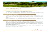 Santenay- Appellation vin de Bourgogne · 2015. 6. 4. · Santenay Appellation Village of the Côte de Beaune region (Côte-d’Or). This appellation includes 12 Premiers Crus Climats.
